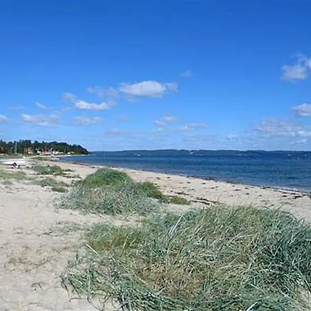 Dom wakacyjny Holiday Randsborgvej H- 3652 Egeskov (Syddanmark)